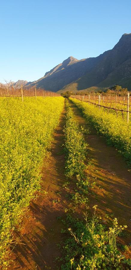 Sonklip Hotell Stellenbosch Eksteriør bilde