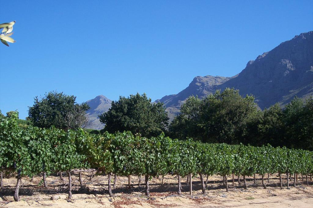 Sonklip Hotell Stellenbosch Eksteriør bilde