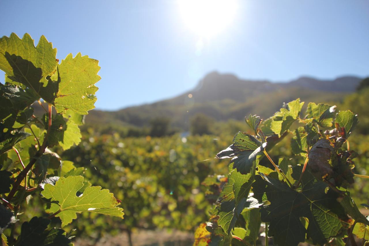 Sonklip Hotell Stellenbosch Eksteriør bilde