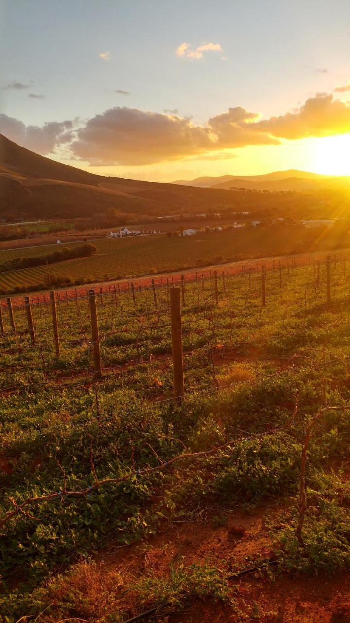 Sonklip Hotell Stellenbosch Eksteriør bilde