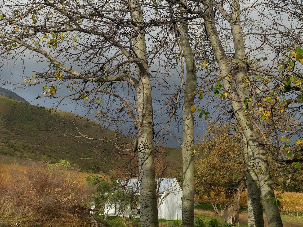 Sonklip Hotell Stellenbosch Eksteriør bilde