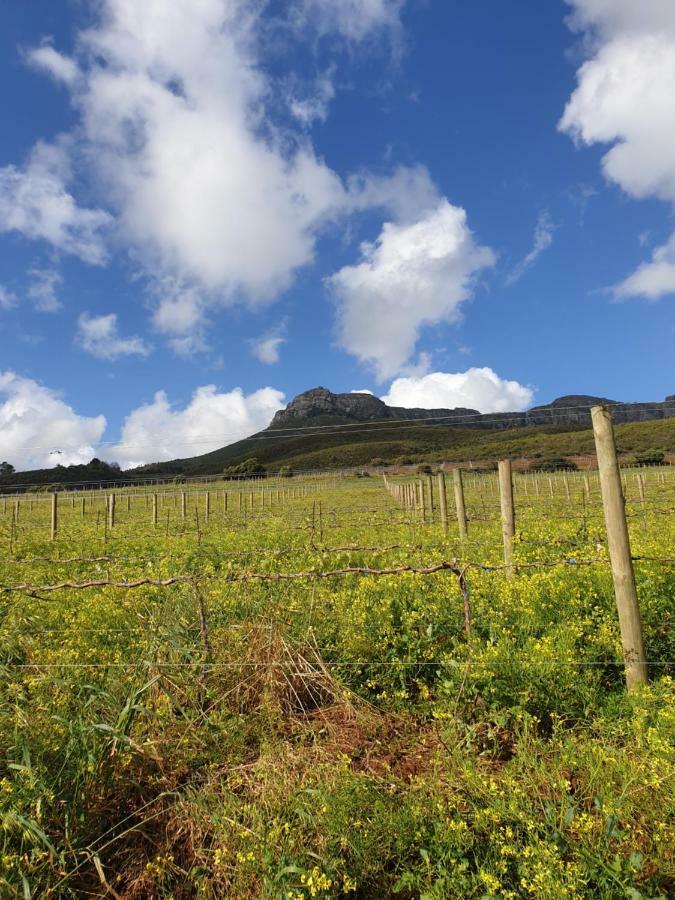 Sonklip Hotell Stellenbosch Rom bilde